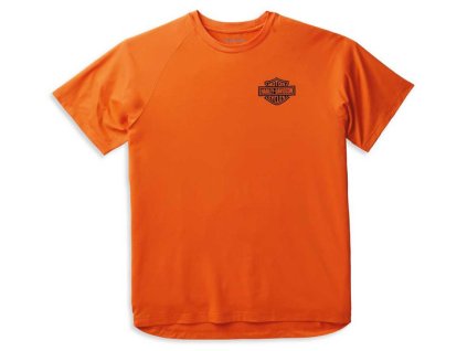 Pánské tričko (Velikost L)