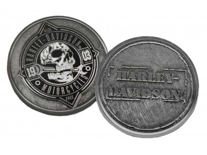 Medailón H-D Rough Skull Coin
