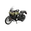 Model H-D Pan America 1250 Special Green
