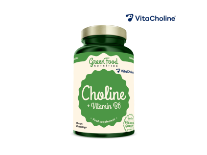 choline vitamin b6