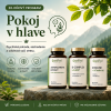 pokoj v hlave