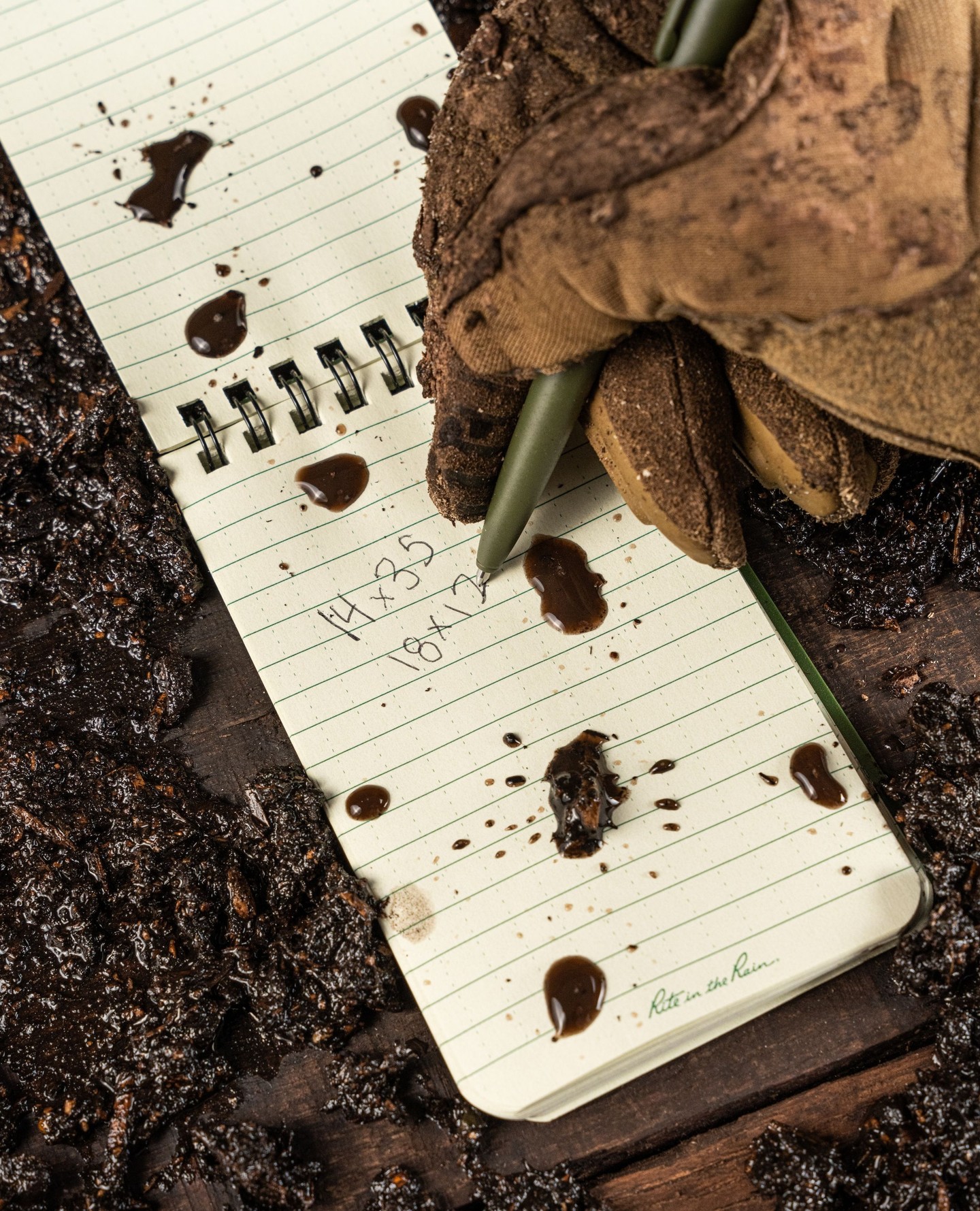 479169577_18479175925031402_3372017876914633417_n