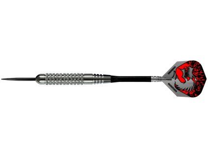 Silver Arrows steel 20g (BD10320; K)