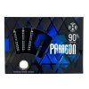 Paragon 90 steel 25g (Varianta R)