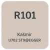 R101