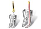 Endodoncie
