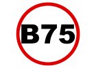 B75