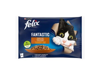 Felix kaps4 fantastic