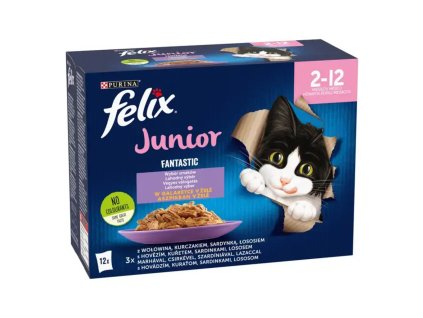 felix junior