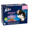 felix junior
