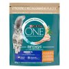 Purina one senior chicken