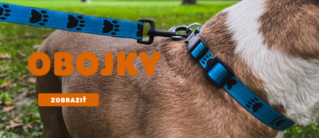 Obojky pre psy