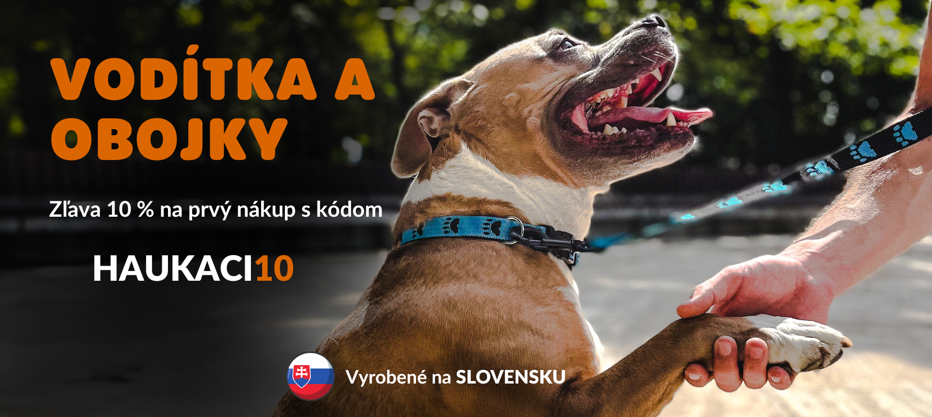 Vodítka a obojky pre psov