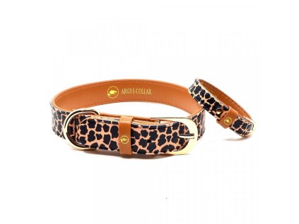 693 1 junglefriendshipcollar 1024x1024