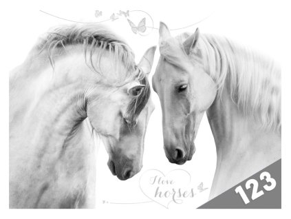 dosky na číslice Kone 8021004