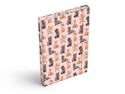 dosky na zošity box A5 Mačky 8021031