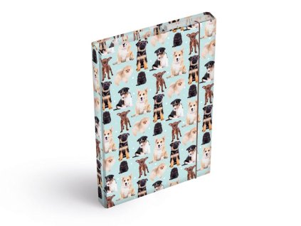 dosky na zošity box A5 Psy 8021033