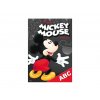 dosky na ABC Disney (Mickey) 8020833