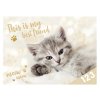 dosky na číslice Mačka 8021040