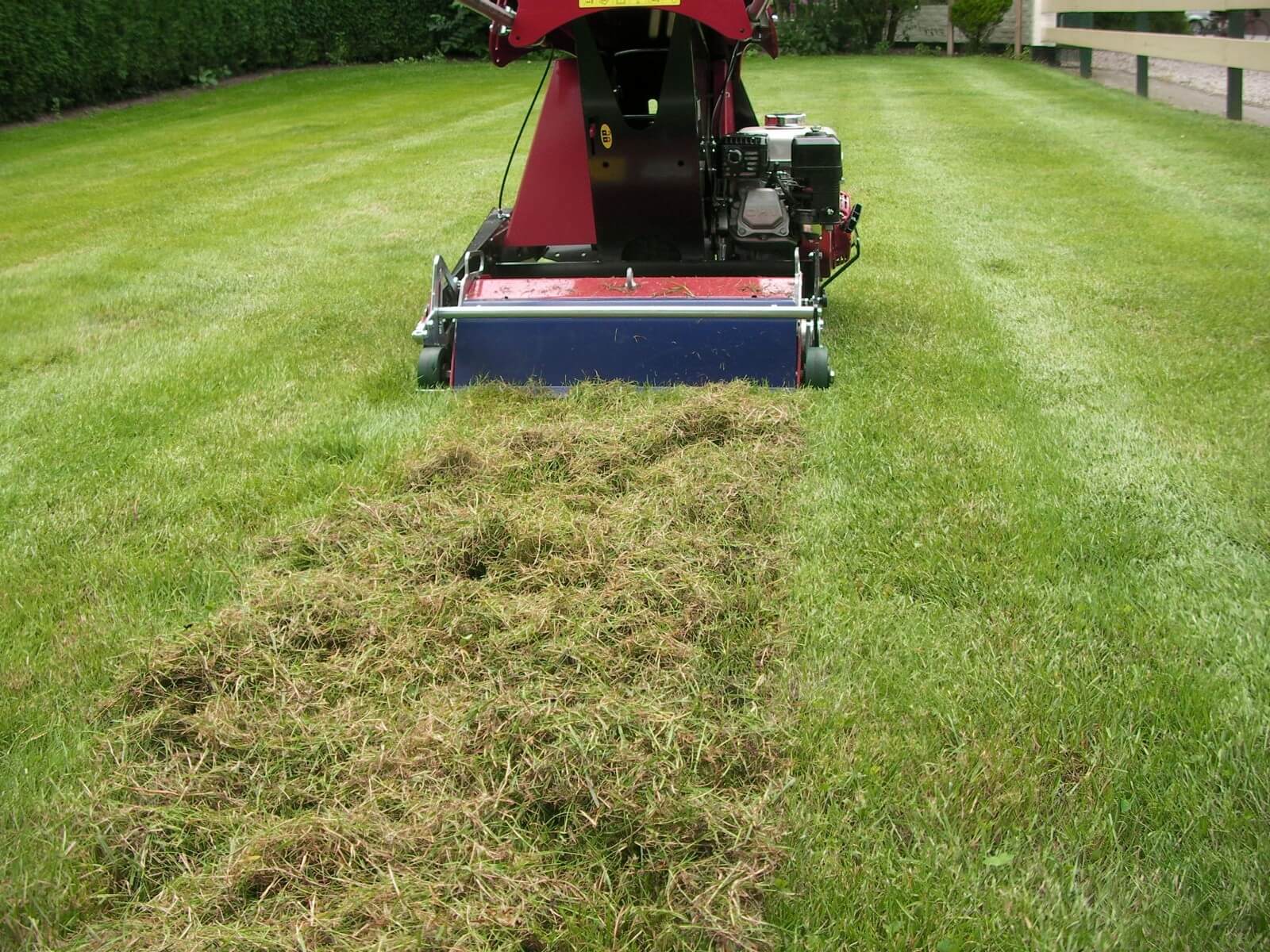 Co je vertikutace a jak prospívá vaší trávě