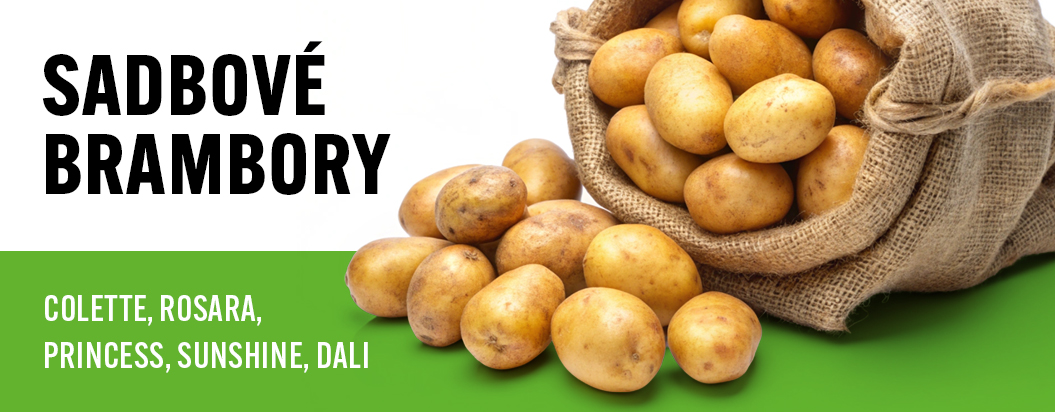 Sadové brambory