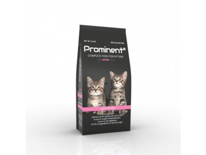 prominent cat kitten 15 kg
