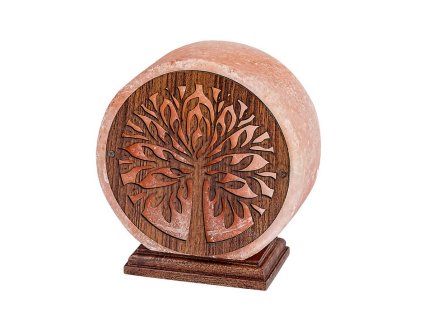 Screenshot 2025 11 19 at 14 43 36 Igdrasil