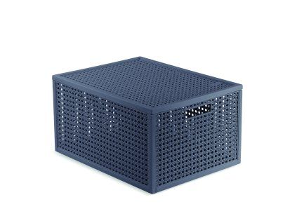 CURVER Úložný box Kaya M modrošedá