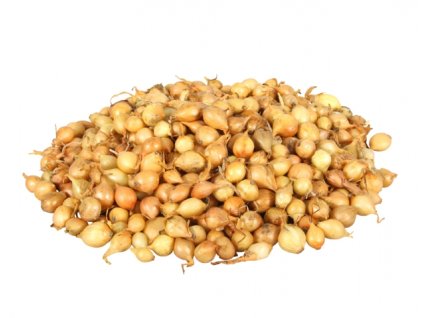 Cibule sazečka - Stuttgarter 250g/8-16mm/žlutá