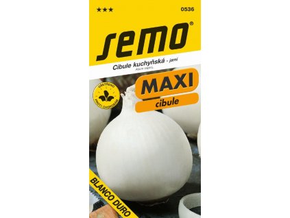 Cibule jarní - Blanco duro bílá 1 g - série MAXI