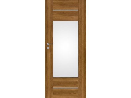 Interiérové dveře PREMIUM 3 - Dub Polský 3D