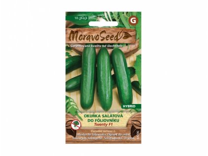 Okurka salátová TWENTY F1 - hybrid, do fóliovníku 64206