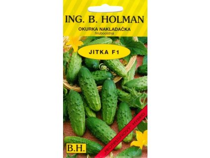 OKURKA NAKLÁDAČKA HOLMAN - JITKA F1 hruboostná / Cucumis sativus L.