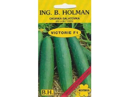 OKURKA SALÁTOVÁ HOLMAN - VIKTORIE F1 polní / Cucumis sativus L.