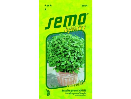 BAZALKA PRAVÁ - MÁNES / Ocimum basilicum L.