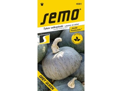 TYKEV PLAZIVÁ - GREY QUEEN / Cucurbita maxima Duchesne