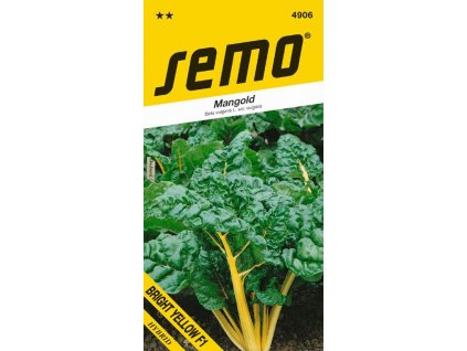 MANGOLD - BRIGHT YELLOW F1 / Beta vulgaris L.