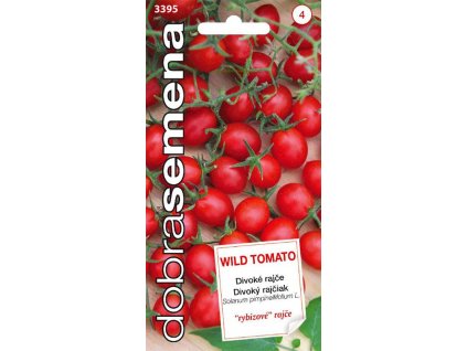 RAJČE TYČKOVÉ - WILD TOMATO - DIVOKÉ RAJČE / Lycopersicon pimpinellifolum L.