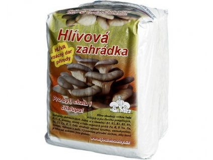 Hlívová zahrádka (ústřičná) - 6 kg