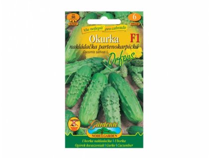 Okurka nakládačka partenokarpická ORFEUS F1 - hybrid