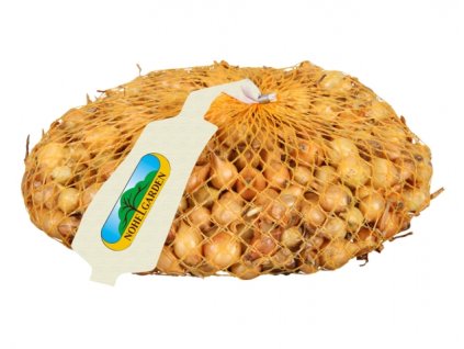 Cibule sazečka - Štutgart 500g/8-16mm/žlutá