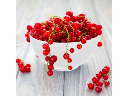 Miska kulatá Vlnka pr. 13 cm