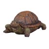 Želva polyresinová 11x15x7cm