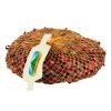 Cibule sazečka - Karmen 250 g /8-16mm/červená