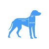 šaty pre psa s vodítkom modré - námornícka kotva
