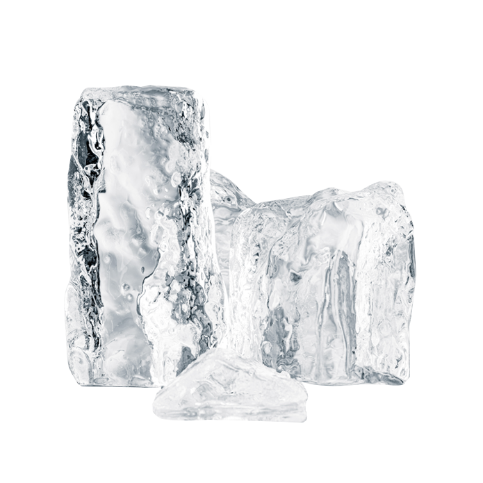 Antarcticine®