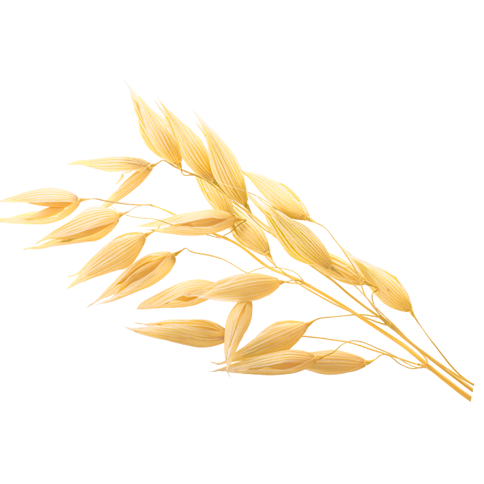 BARLEY Aquacell BIO