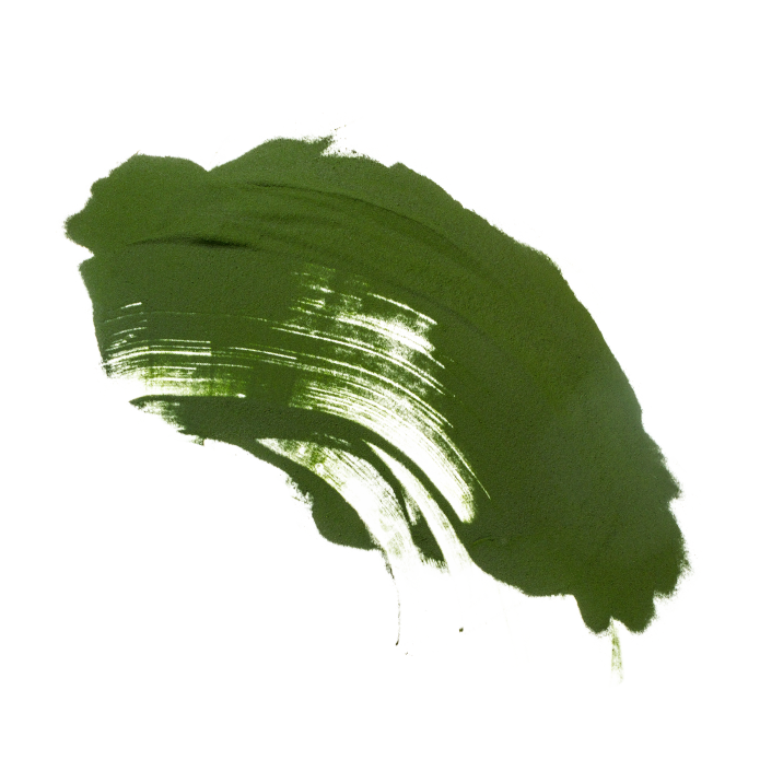 Chlorella