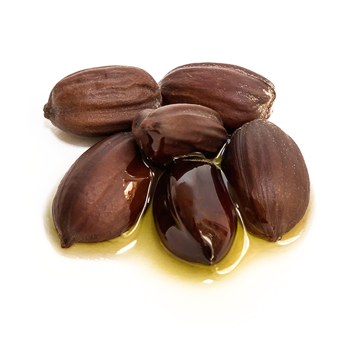 Jojoba oil