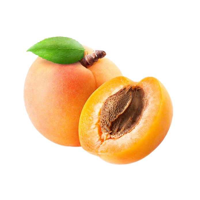 Common apricot